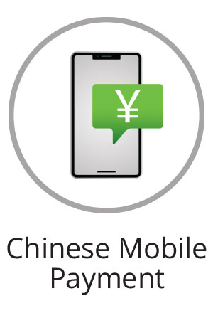 Chinese Mobile Payment
